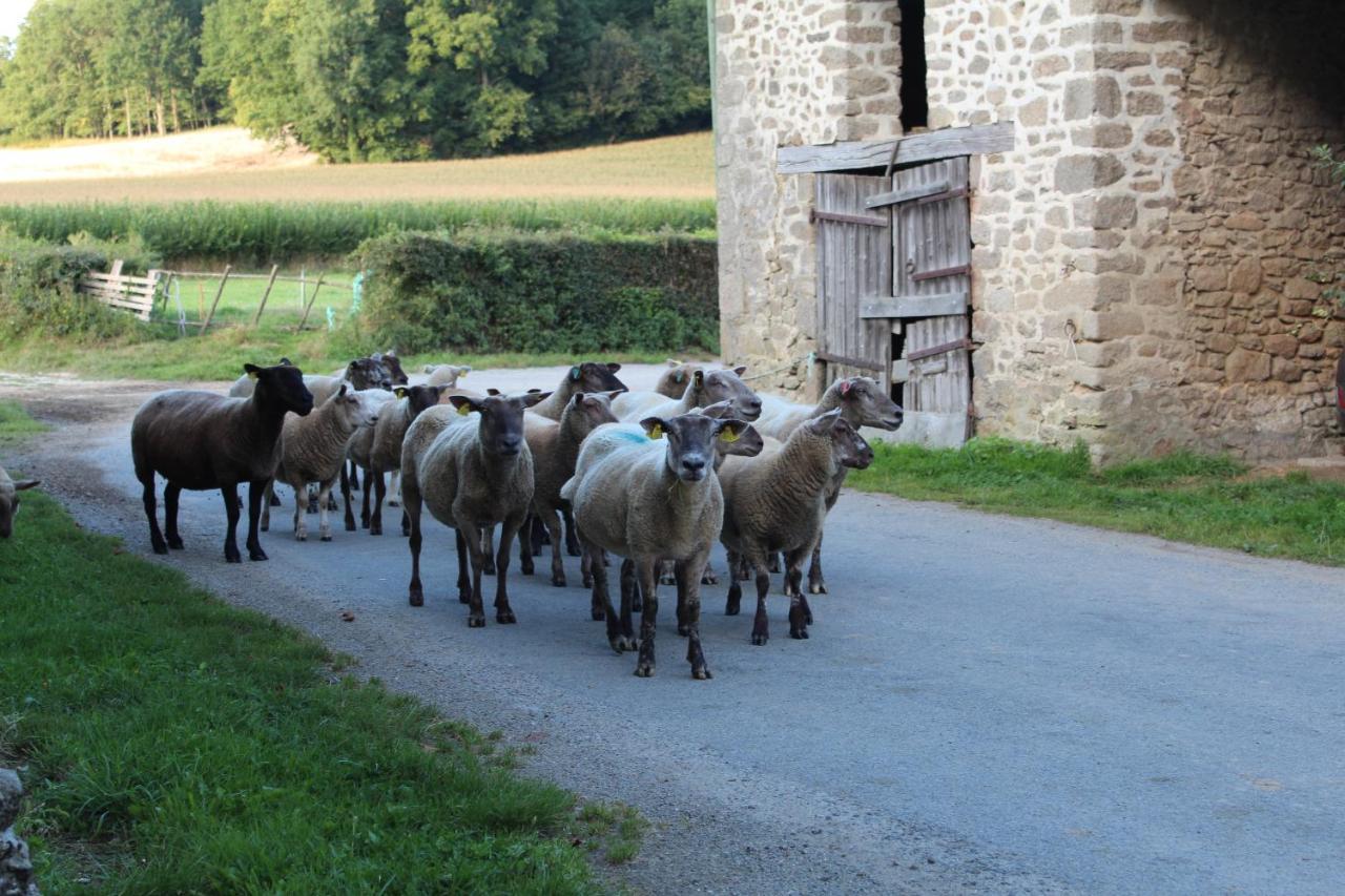 Dans La Creuse Bed and Breakfast Mourioux-Vieilleville Εξωτερικό φωτογραφία
